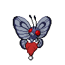 Shadow Butterfree (Christmas)